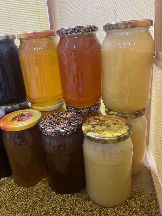 miód, miód naturalny pszczeli sloik miód gatunki matki pszczele