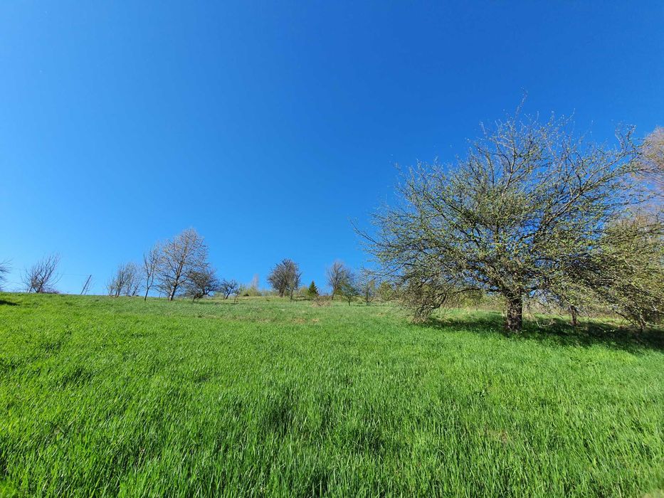 Продам землю в Яворові: 3 га та 25 соток