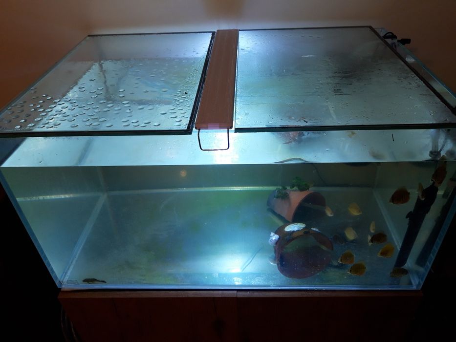 Akwarium 243 L optiwhite  aquael