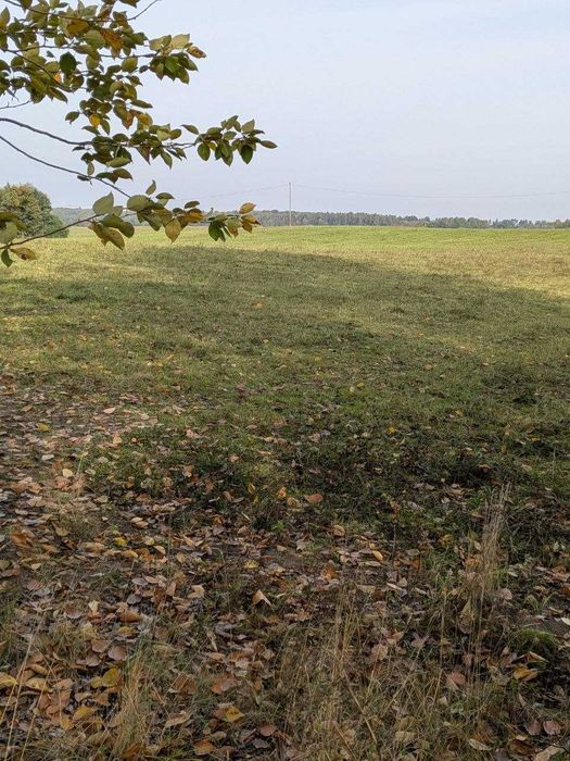 Duża działka pod lasem z warunkami zabudowy gmina Biskupiec