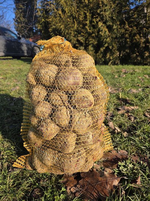 Sprzedam warzywa ekologiczne