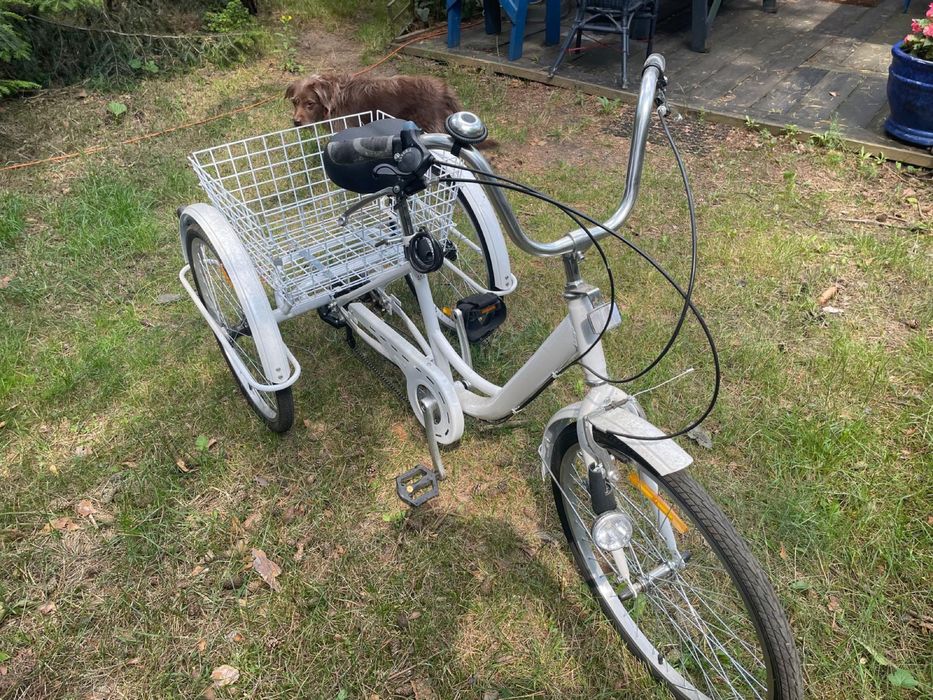 Rower trójkołowy rehabilitacyjny 6-biegowy