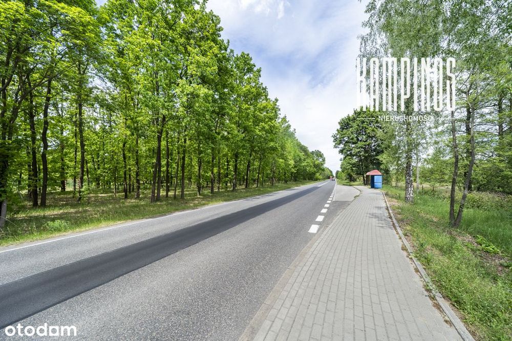 Urokliwa działka blisko lasu