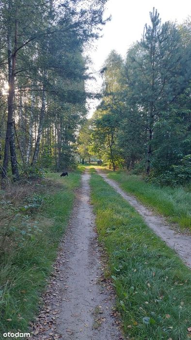 Działka na sprzedaż Łukowo, Czersk, chojnicki, pomorskie - Widok 6