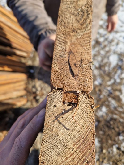 Deski  pióro wpust na boks dla koni lub  podest, taras pomost