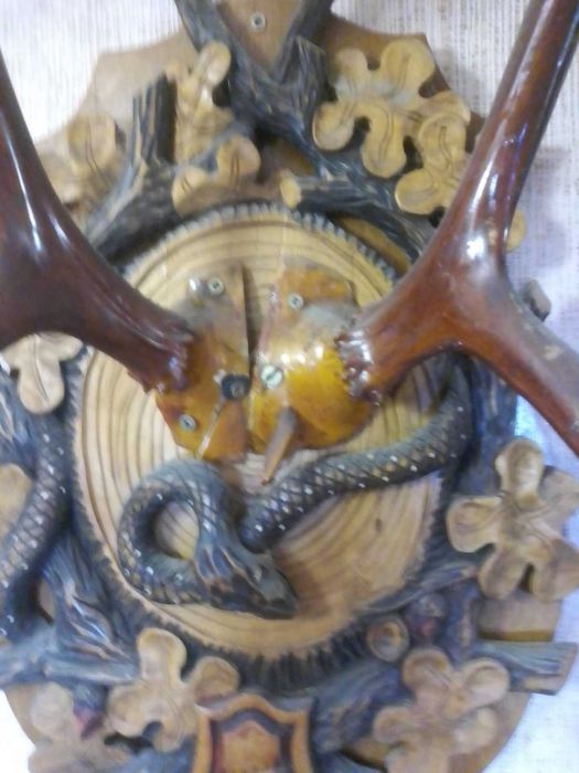 Рога,коллекция,5экз.