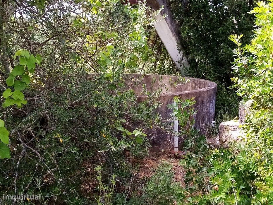 Terreno Rustico com 11 136m2, Loulé, Algarve