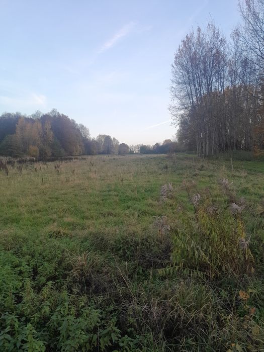 PrzetargAukcja.KonkursOfert.Ziemia  rolna  2.64 ha !!!