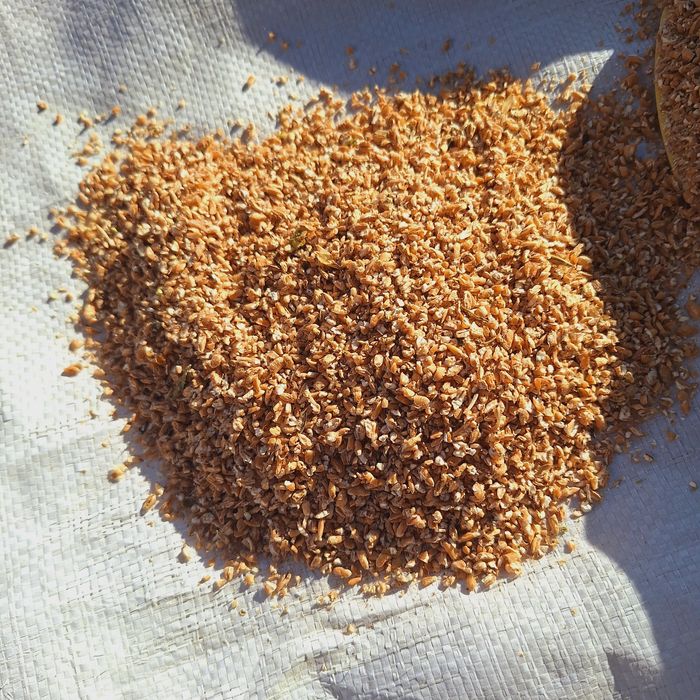 Pszenica Gnieciona Dla Kur Niosek 25kg