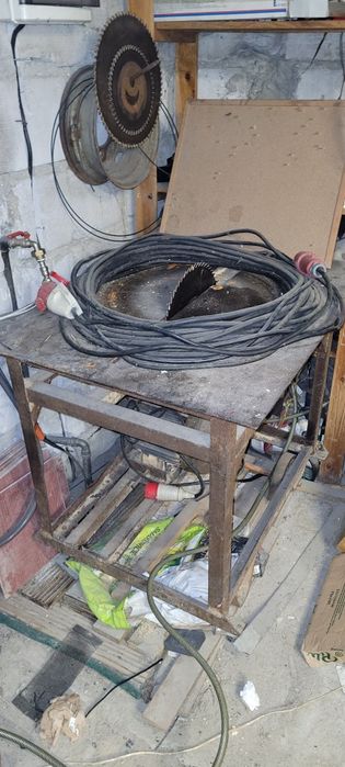 Krajzega piła stołowa