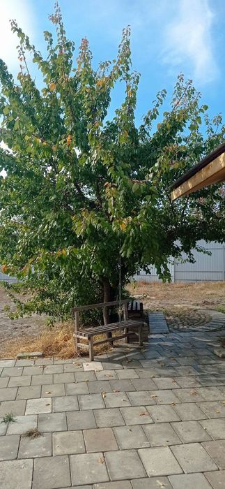 Продам дом в Змиёве