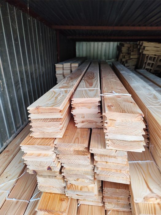 Boazeria świerkowa i modrzewiowa