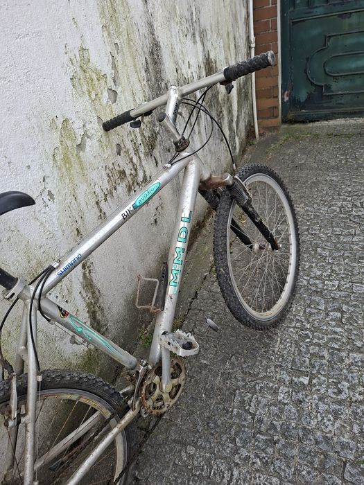 Bicicleta de montanha