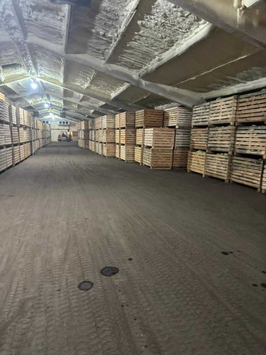 Продаж діючого фермерського комплексу 23,7 га
