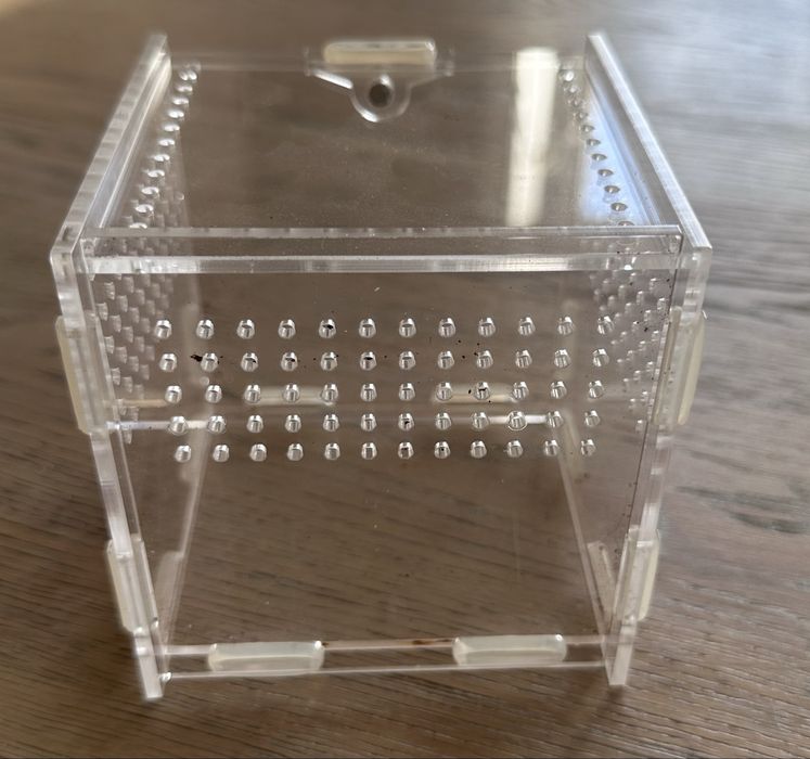 Terrarium 10x10x10cm