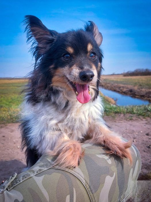 Naprawdę nikt ? PILNE