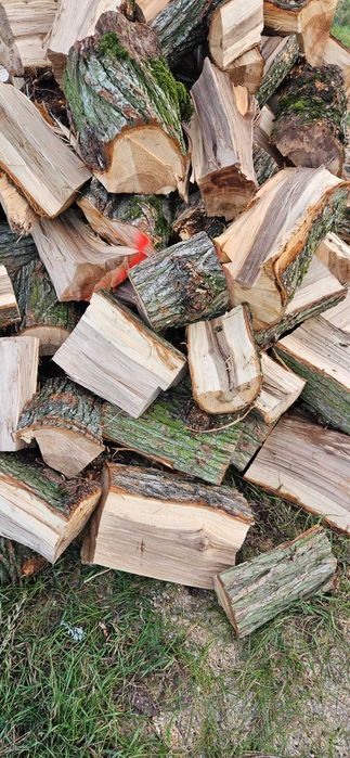 Drewno kominkowe opałowe Wiąz