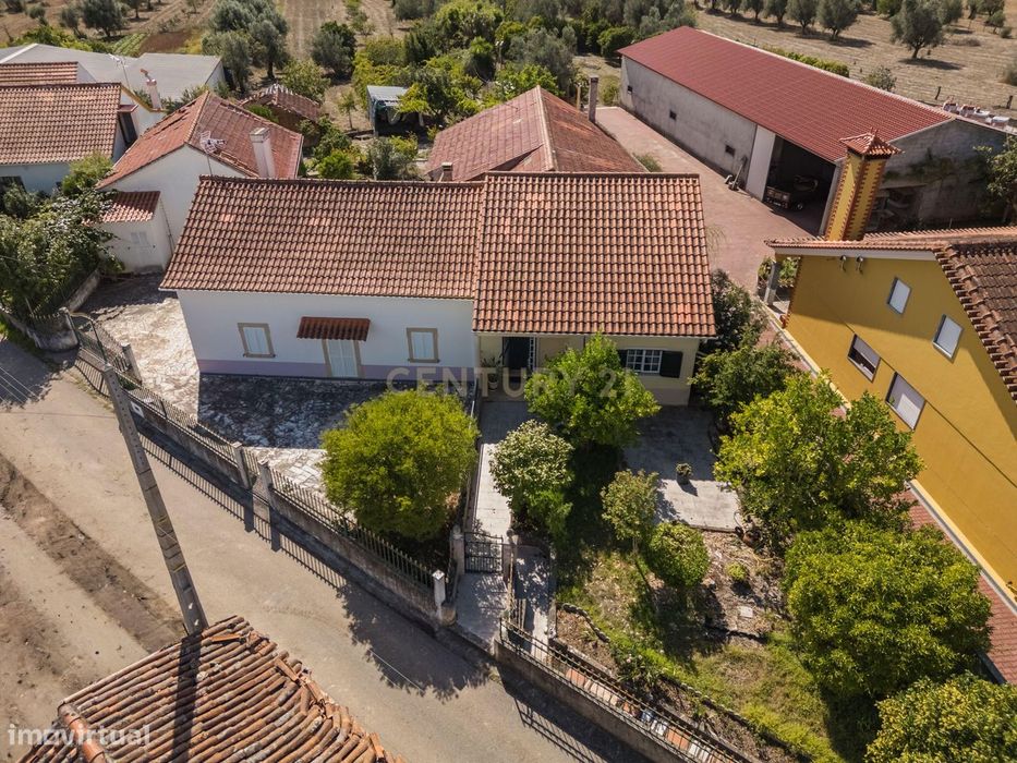 Moradia T3 térrea com 7.000 m² de terreno | Almogadel, Chãos – Ferreir