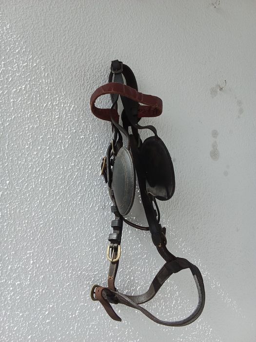 Vendo este material equestre