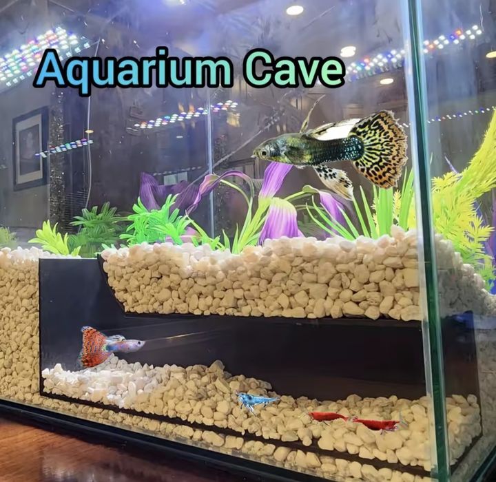 Tunel podwodny narożny kryjówka jaskinia akwarium