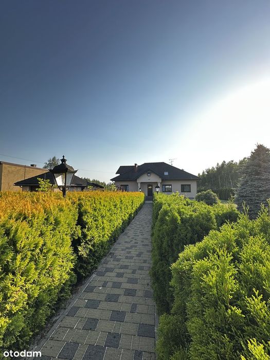 Dom z własnym lasem i ogrodem - 240m2 komfortu w otoczeniu natury