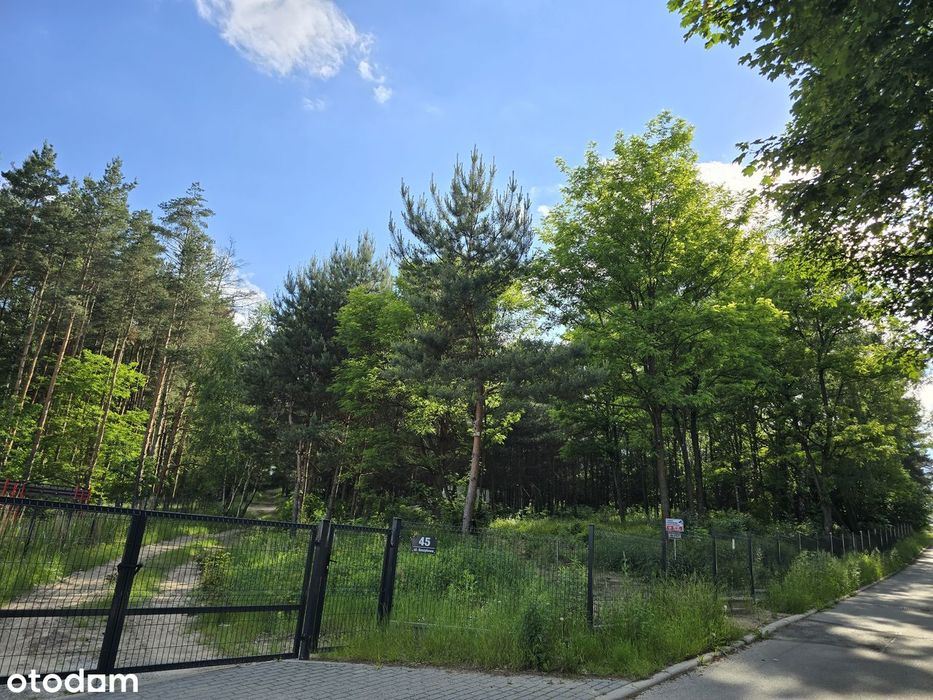 Działka 5,7 ha na Jurze | Część budowlana 3700m² +las| Wszystkie media