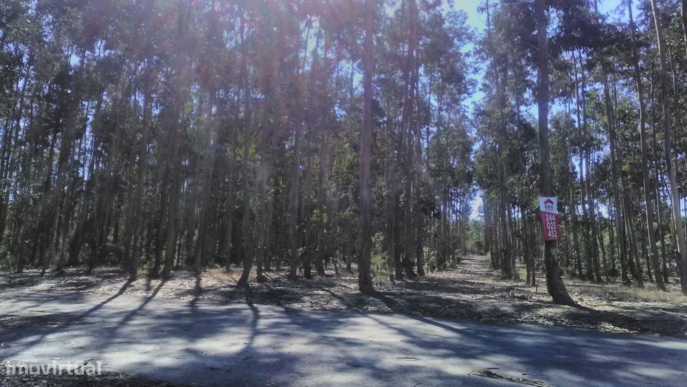 Terreno  Venda em Amor,Leiria