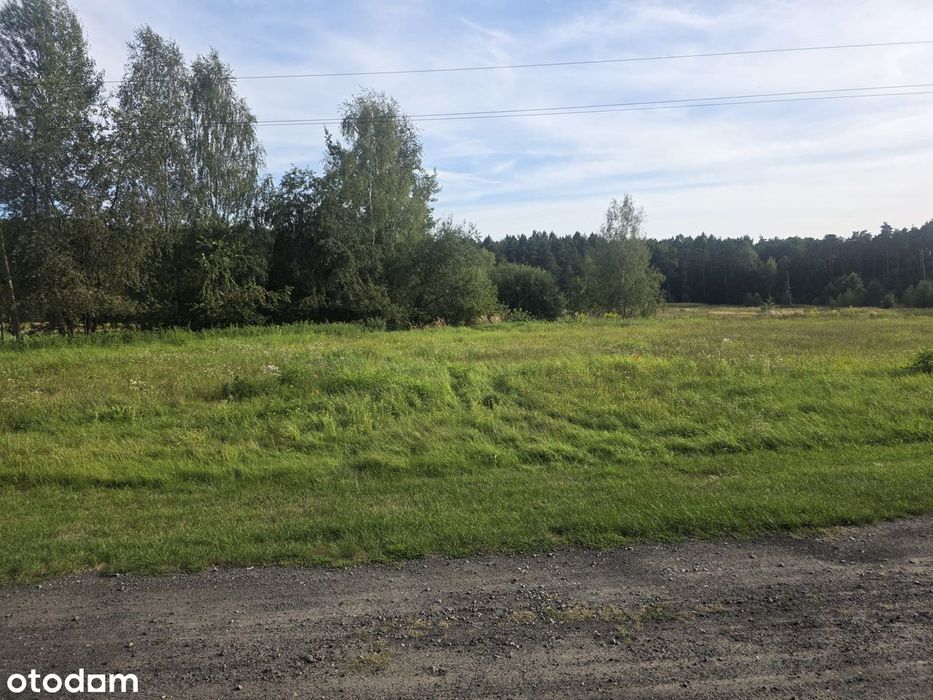 Duża działka w spokojnej i zielonej okolicy 8 km od Rybnika i 4 km A1 - Widok 2
