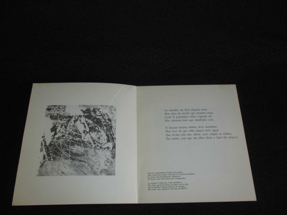 Livro O Barco Bêbado Jean-Arthur Rimbaud