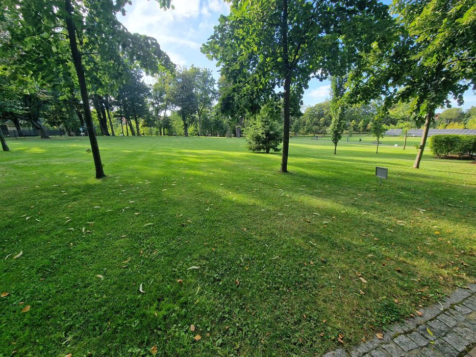 ogrodnik, nawadniania, wycinka drzew, zakładanie, porządkowanie terenu