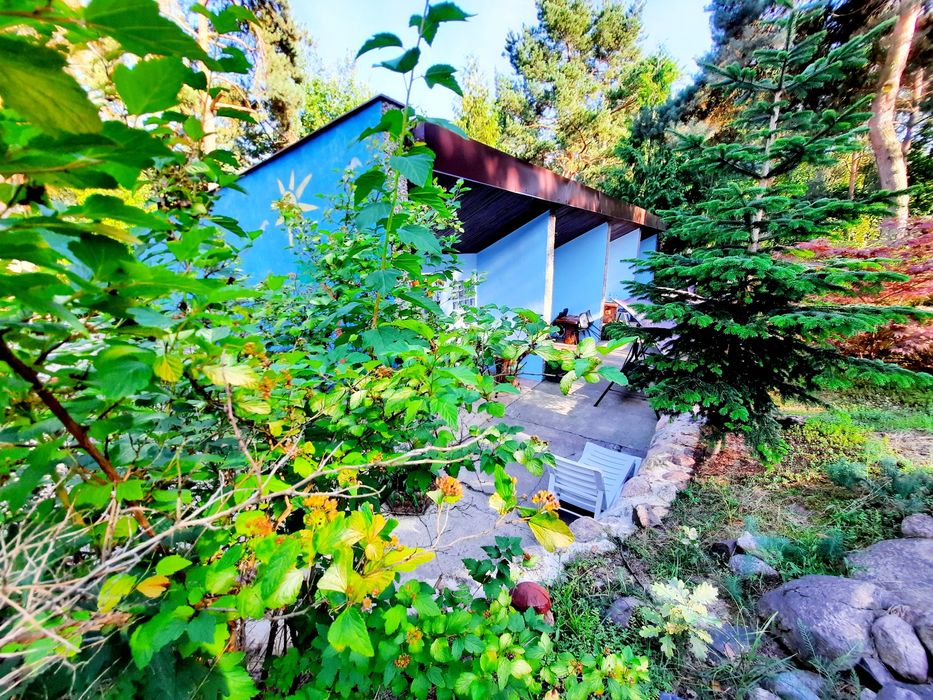 Wynajem domków2026 Wczasy Brenno DELFINEK