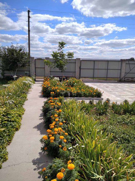 Затишний будинок  Київська обл Бориспільський р-н с.Фарбоване Власник