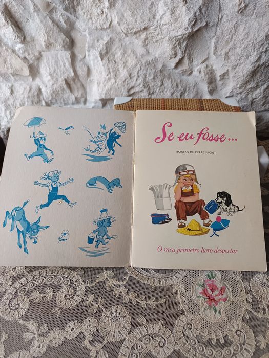 Livro "Se eu fosse"o meu primeiro livro despertar