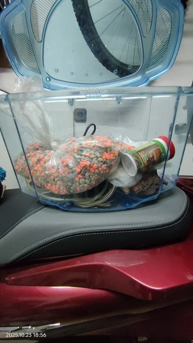 Aquário e acessórios