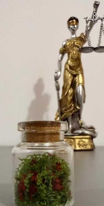 Słoik ozdoba - Forest Jar