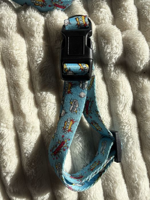 Komplet dla psa niebieski