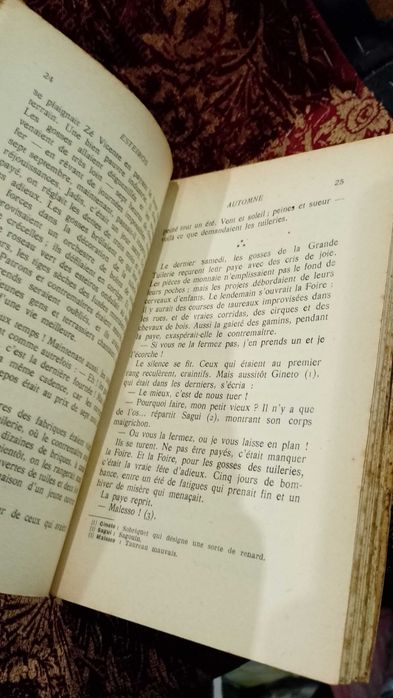 Esteiros 1954 Pereira Gomes Edição Francesa