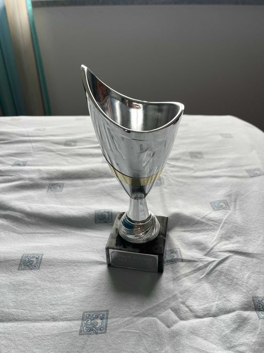 Troféus diversos - como novos