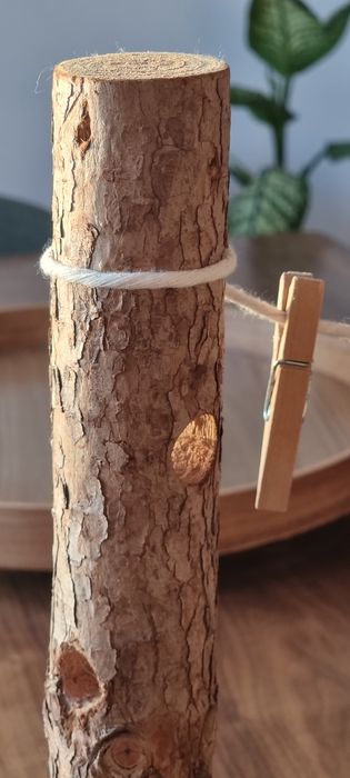 Conjunto tronco para roedores