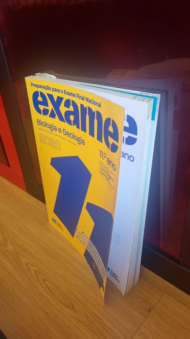 Biology and Geology Exam Preparation for 11th Grade64285842678147121