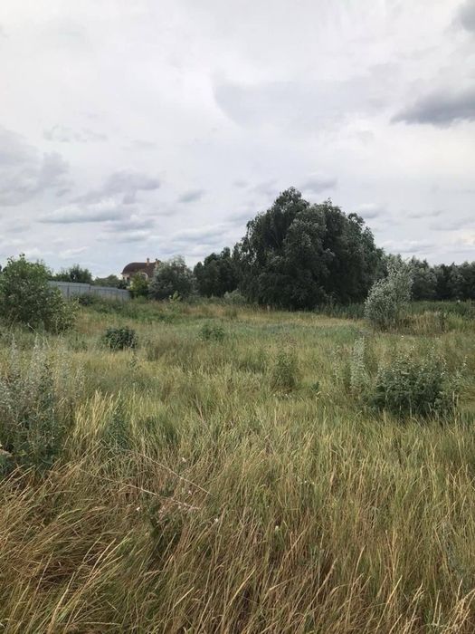 Земельна ділянка 24 сотки с.Вороньків