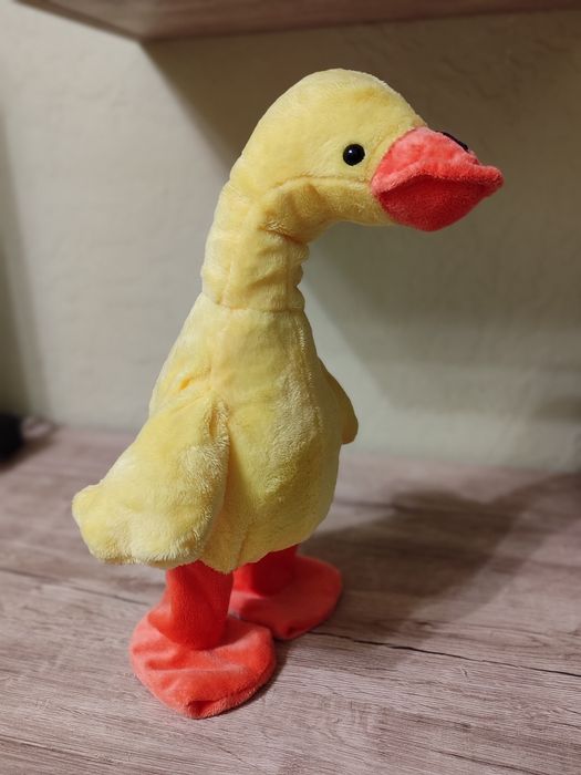 Танцюючий гусь, гусак.