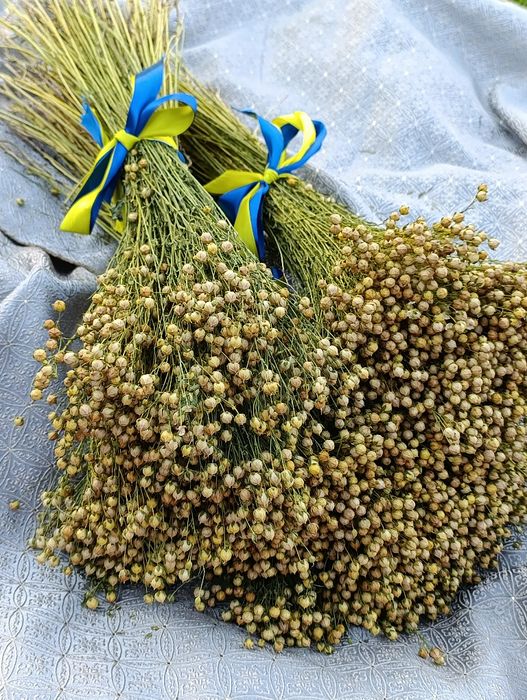 Колоски пшениці,жита,льон та сухоцвіти