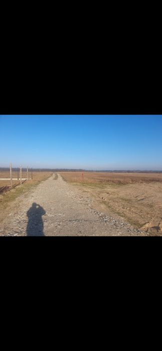Działka rolno-budowlana. Wydane warunki zabudowy. - Widok 4