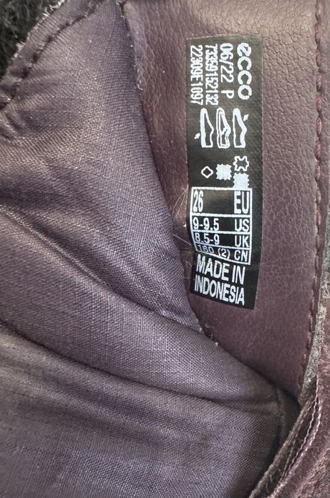 Дитячі чоботи Ecco 26 розмір