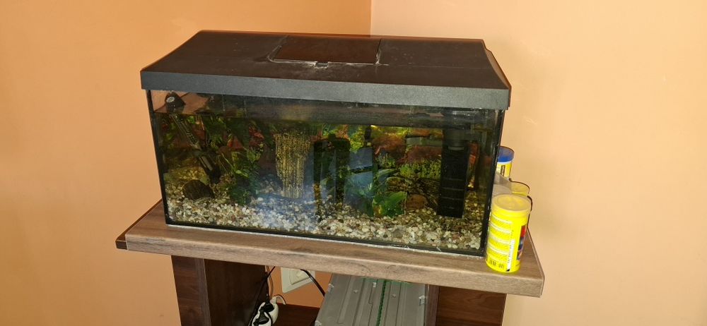 Akwarium kompletne