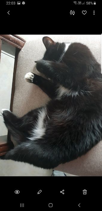 Odnalazła się po 4 lat i 6 miesiącach