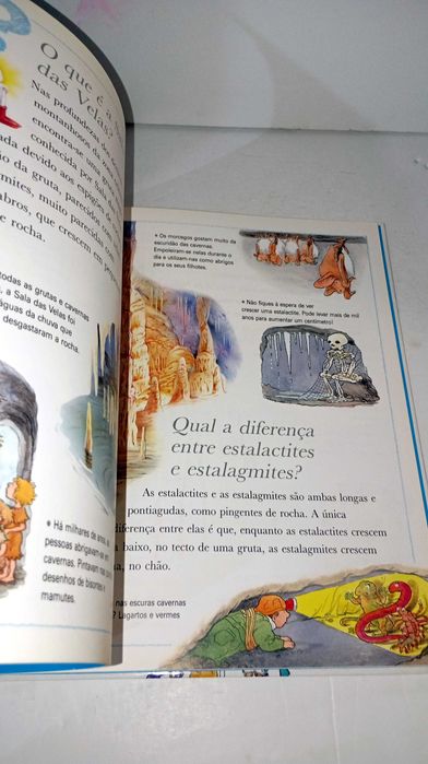 Porque será que o Vento Sopra429233744852428803