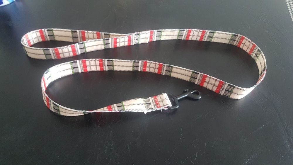 Smycz, pies, kot, zwierzę, pasek, kratka