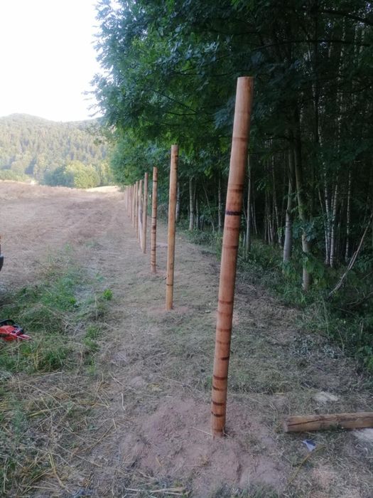 Ogrodzenie tymczasowe